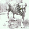 Alice In Chains 'Alice In Chains' CD Jewel Case