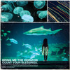 Bring Me The Horizon 'Count Your Blessings' CD Jewel Case