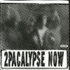 2Pac '2Pacalypse Now' 2LP Limited Edition Picture Disc Vinyl