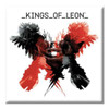Kings of Leon 'US Album Cover' Fridge Magnet