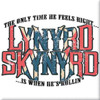 Lynyrd Skynyrd 'Only Time He Feels Right' Fridge Magnet
