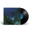 Tiny Fingers 'The Fall' LP Black Vinyl