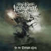 Necrophobic 'In The Twilight Grey' LP Black Vinyl Front