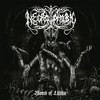 Necrophobic 'Womb Of Lilithu' (Reissue 2022) 2LP Black Vinyl Front