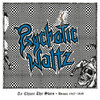 Psychotic Waltz 'To Chase The Stars: Demos 1987-1989' 2LP Black Vinyl Front