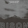 Bison 'You Are Not The Ocean You Are The Patient' CD