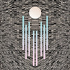 Wuw 'L'Orchaostre' CD