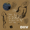 DIIV 'Oshin' (10th Anniversary) 2LP Clear Vinyl