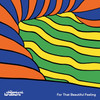 The Chemical Brothers 'For That Beautiful Feeling' 2LP Black Vinyl