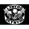 Lynyrd Skynyrd 'Skull' Postcard