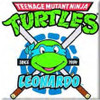 Teenage Mutant Ninja Turtles 'Leonardo' Fridge Magnet