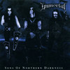 Immortal 'Sons of Northern Darkness' CD