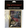 Rock Off 'City Of Liverpool Landmarks' Premium Fridge Magnet