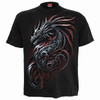 Spiral 'Dragon Shards' (Black) T-Shirt