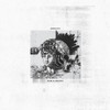Amulets 'Rem(a)inders' LP Vinyl