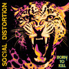 Social Distortion 'Born To Kill' CD