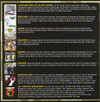 Green Day 'The Studio Albums 1990-2009' 8CD Box Set