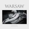 PRE-ORDER - Warsaw 'Warsaw' LP Crystal Clear & Solid Blue Mix Vinyl - RELEASE DATE 21st August 2026