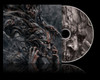 PRE-ORDER - Distant 'Into Despair' CD - RELEASE DATE 6th November 2026