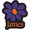 James 'Orange Logo Purple Daisy' Sticker