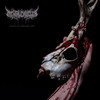 PRE-ORDER - Mental Cruelty 'Echoes of a Forlorn Land' CD Digipack - RELEASE DATE 23rd October 2026