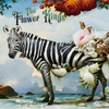 PRE-ORDER - The Flower Kings 'Hope' CD & Blu-ray - RELEASE DATE 23rd October 2026