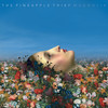 PRE-ORDER - The Pineapple Thief ‘Magnolia' (2025 Mix) CD Digipack - RELEASE DATE 2nd October 2026