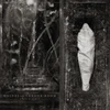 PRE-ORDER - Wolves In The Throne Room 'Estuary' LP Clear Blackdust Vinyl - RELEASE DATE 23rd October 2026