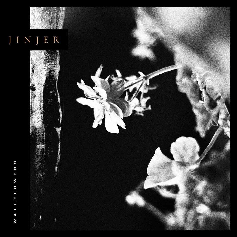 Jinjer 'Wallflowers' LP Black Vinyl