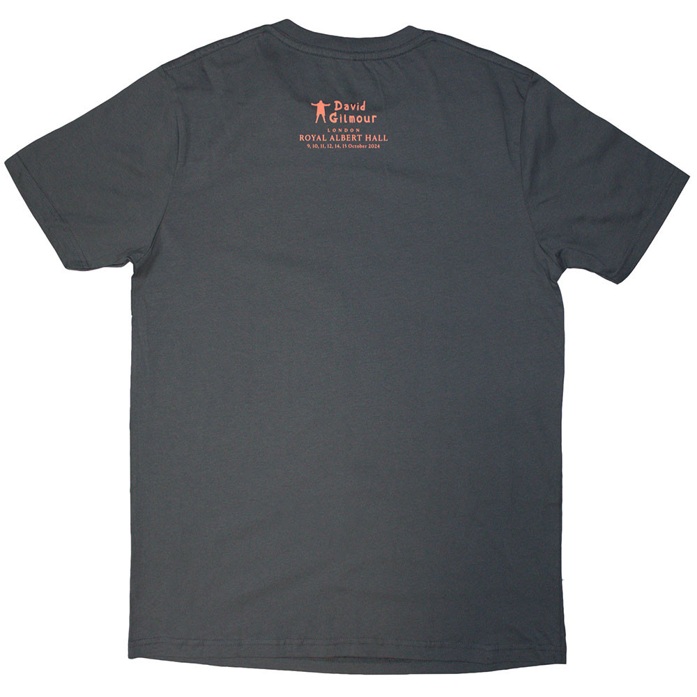 David Gilmour 'Luck & Strange London 2' (Grey) T-Shirt BACK