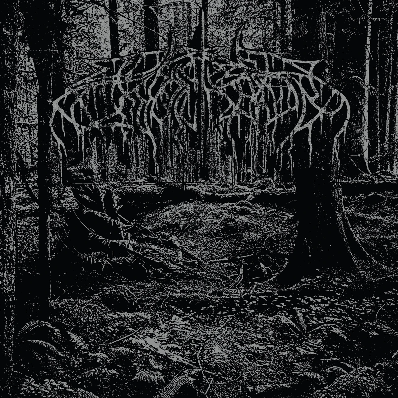 Wolves In The Throne Room '2005 Demo' LP Black Ice Vinyl