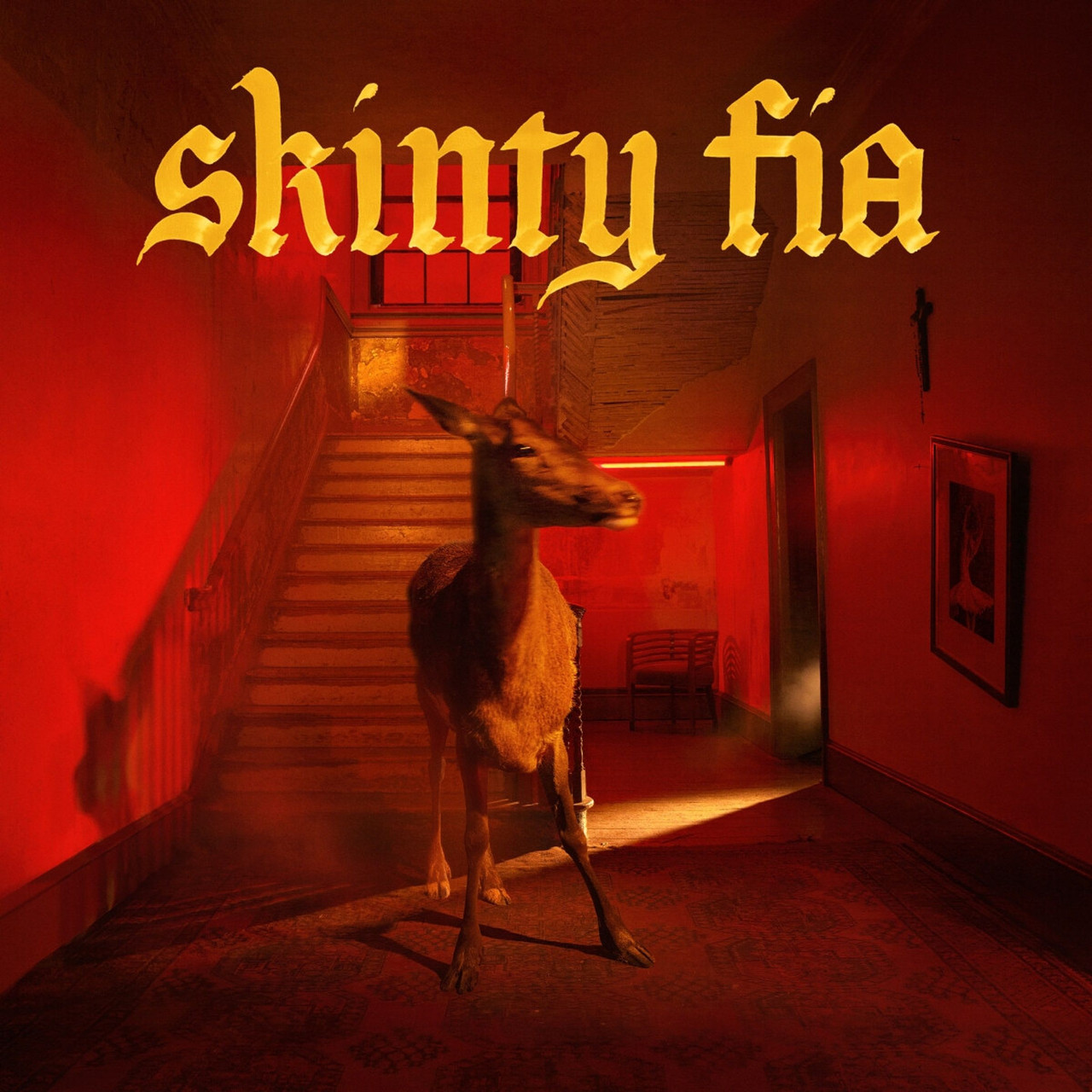 Fontaines D.C. 'Skinty Fia' CD Digisleeve