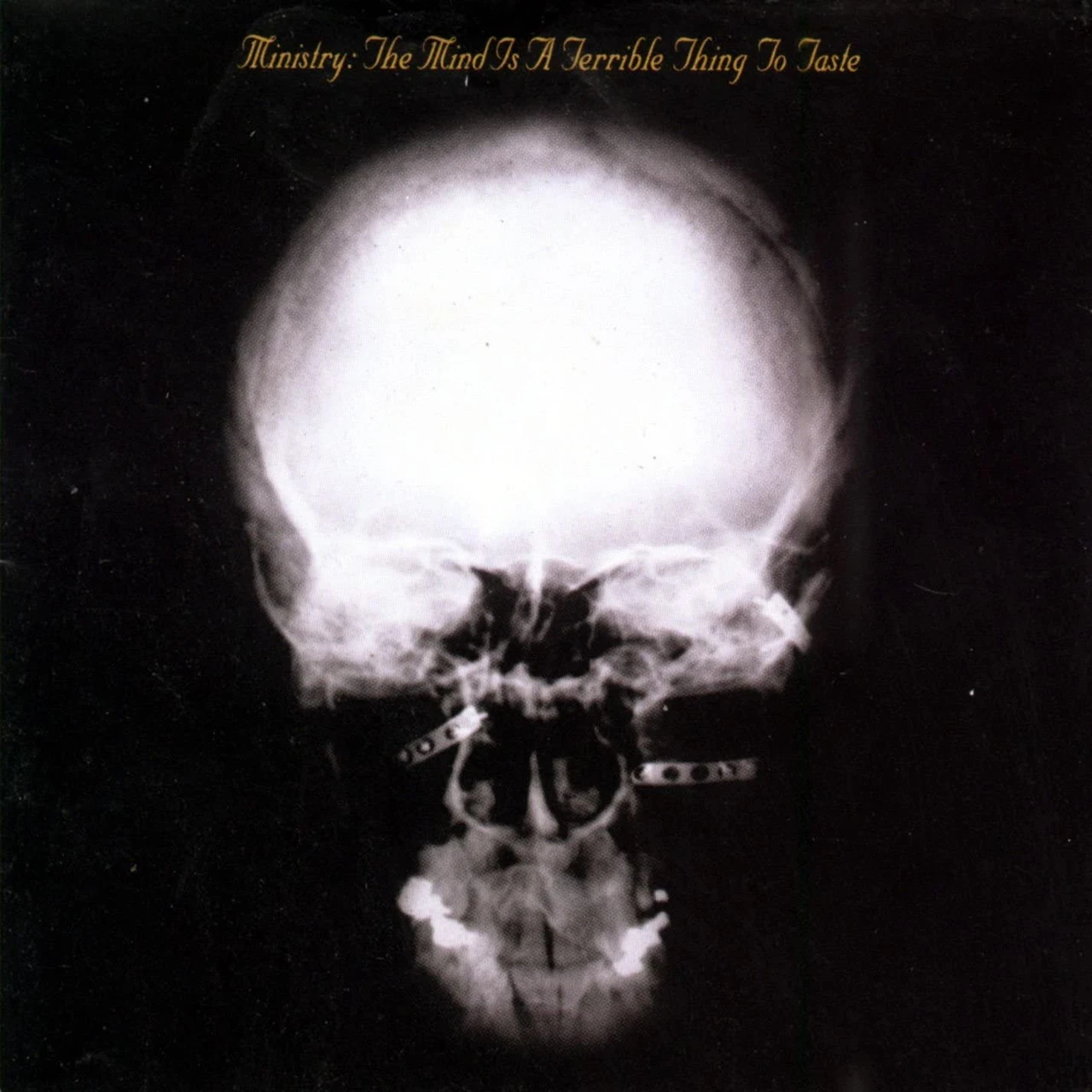 Ministry 'The Mind Is A Terrible Thing To Taste' CD Jewel Case