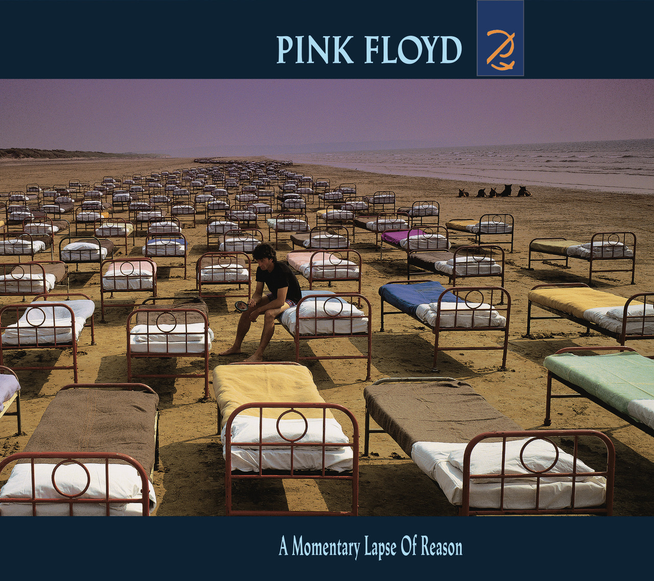 Pink Floyd 'A Momentary Lapse of Reason' LP Black Vinyl