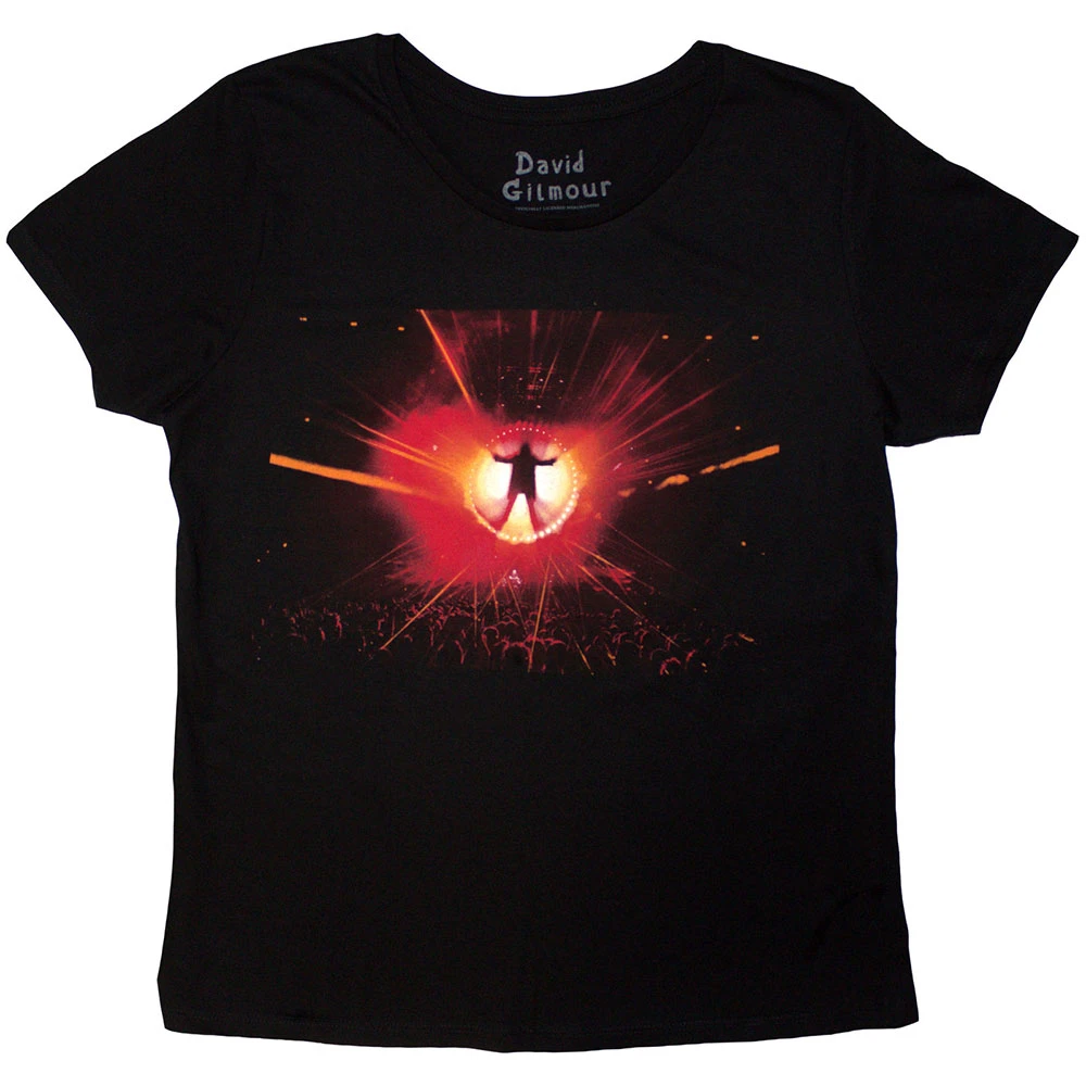 David Gilmour 'Luck & Strange Stage Shot' (Black) Womens Fitted T-Shirt
