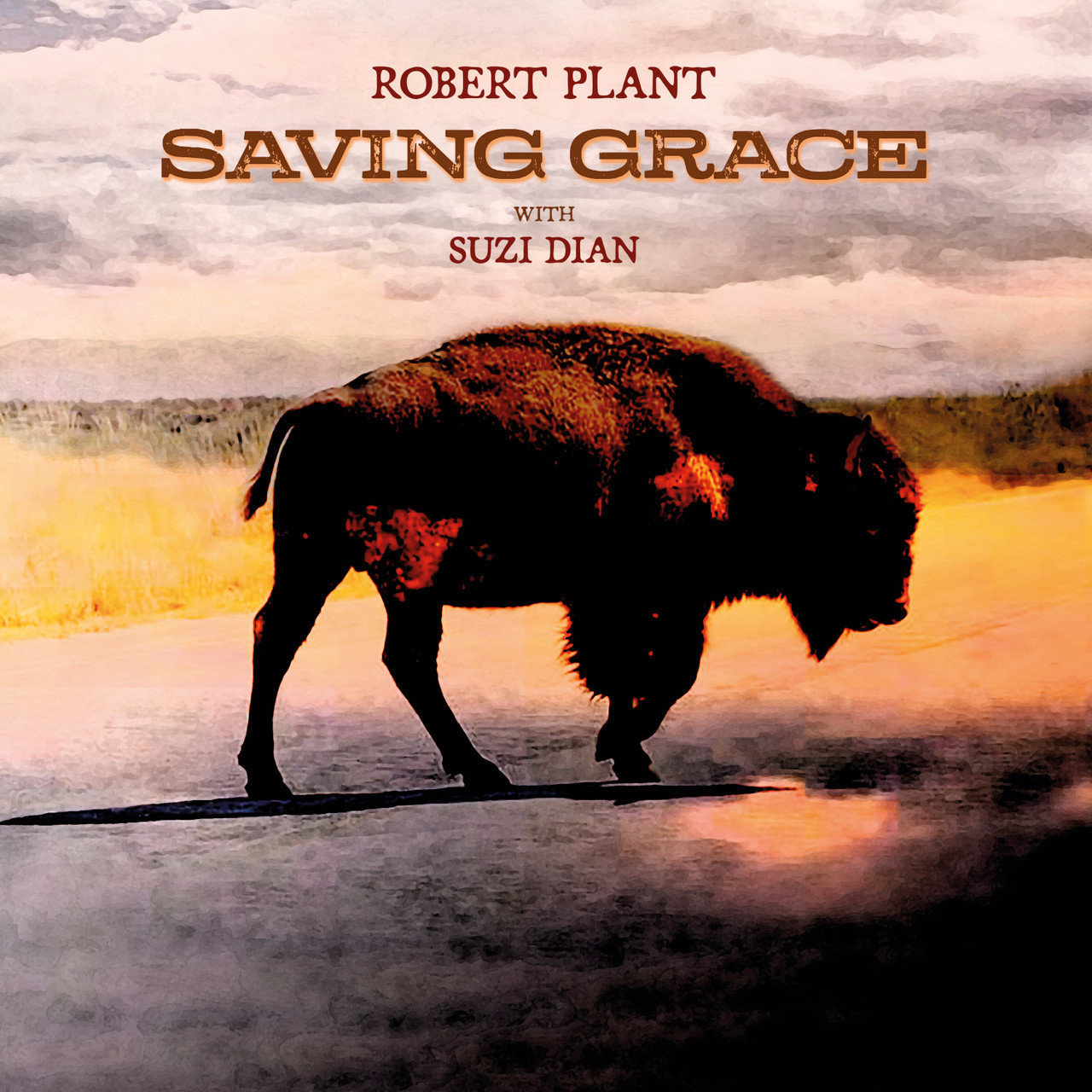 Robert Plant 'Saving Grace' LP Black Vinyl