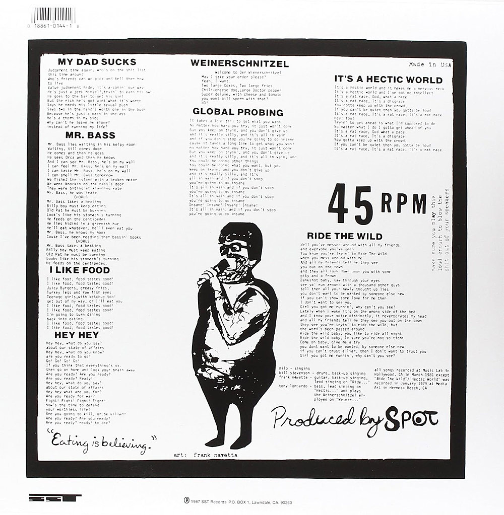 Descendents 'Bonus Fat' LP Black Vinyl Back