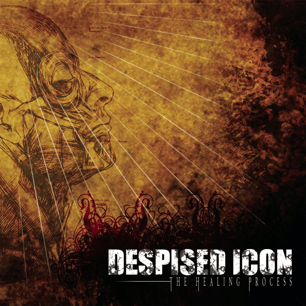 Despised Icon 'The Healing Process' Alternate Mix & Bonus 2022 CD Front