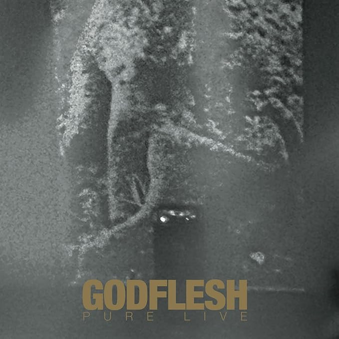 Godflesh 'Pure: Live' CD Digipack