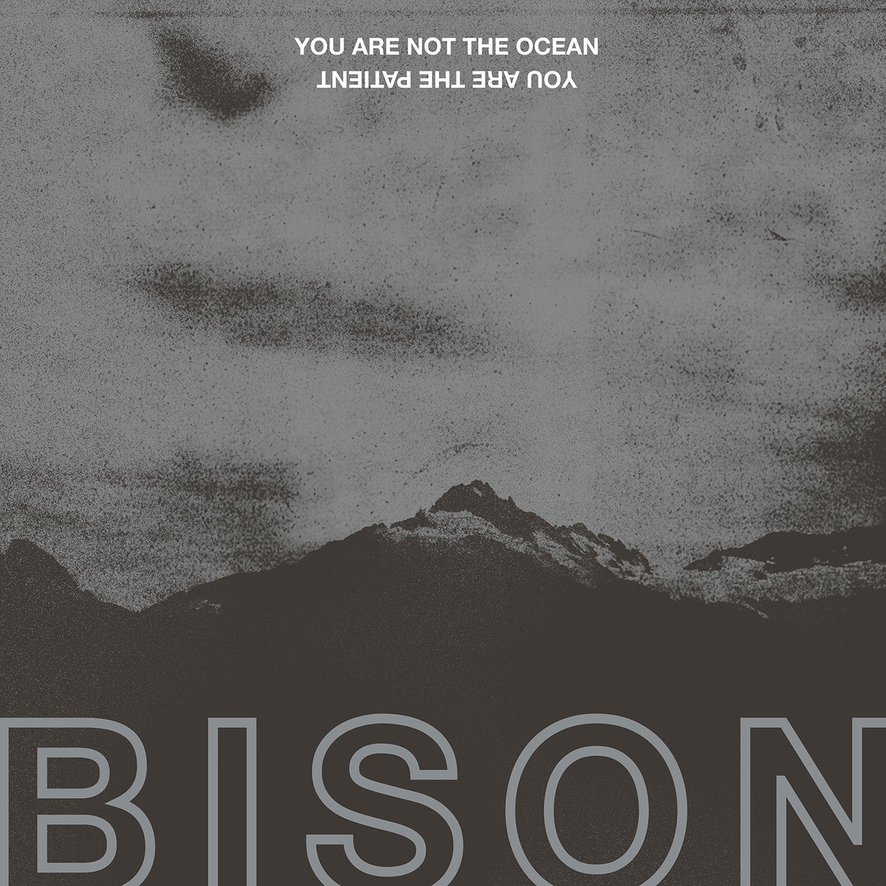 Bison 'You Are Not The Ocean You Are The Patient' CD