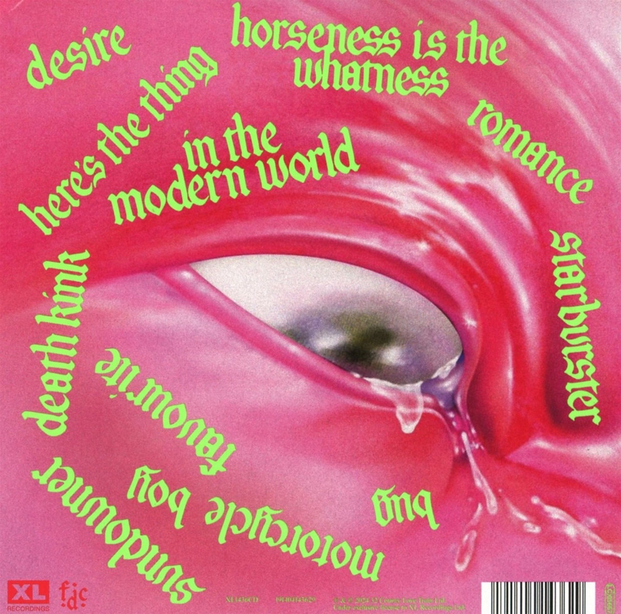 Fontaines_DC_Romance_CD_back_c