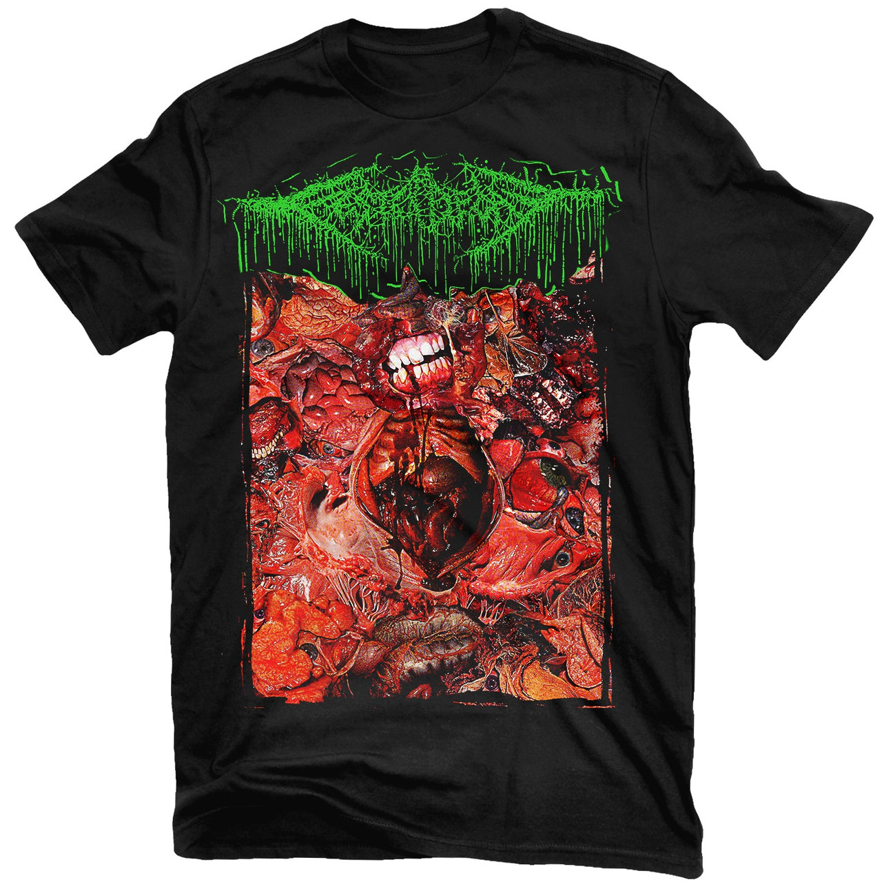 FesterDecay 'From Demo To Rot' (Black) T-Shirt - US Import