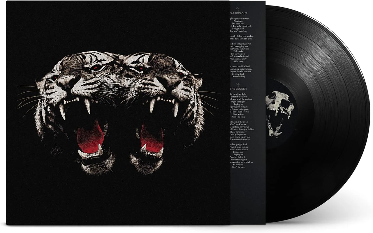 PRE-ORDER - Royal Blood 'Dead Company' LP Black Vinyl - RELEASE DATE 13th November 2026