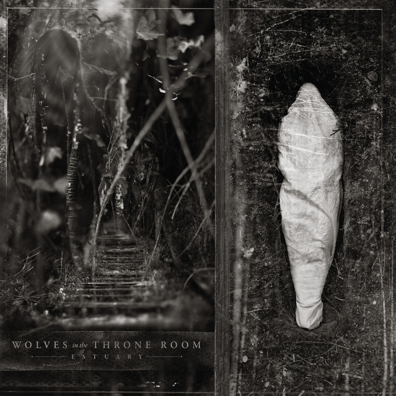 PRE-ORDER - Wolves In The Throne Room 'Estuary' LP Clear Blackdust Vinyl - RELEASE DATE 23rd October 2026