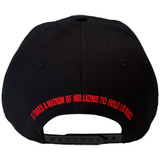 Public Enemy 'It Takes A Nation' (Black) Snapback Cap BACK