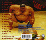 Aerosmith 'Big Ones' CD Back