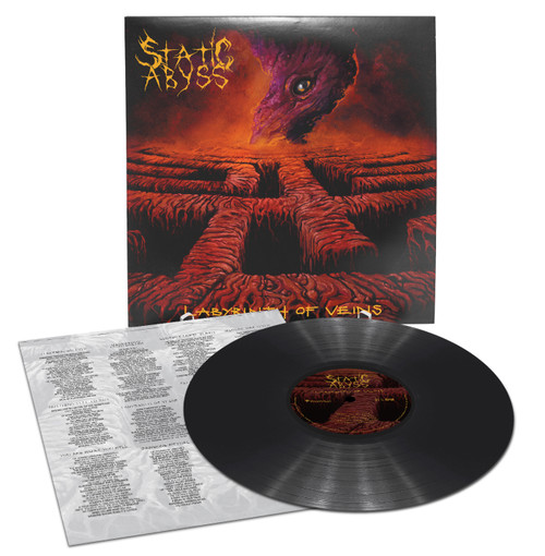 Static Abyss 'Labyrinth of VeinsÃ¢â‚¬â„¢ LP Black Vinyl