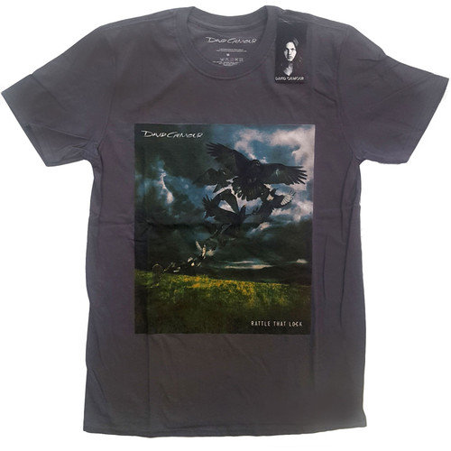 David Gilmour 'Rattle That Lock' (Grey) T-Shirt