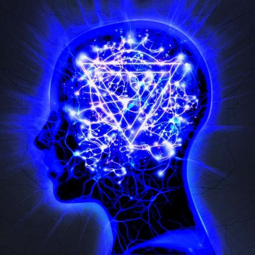 Enter Shikari 'The Mindsweep' CD/DVD Digipack