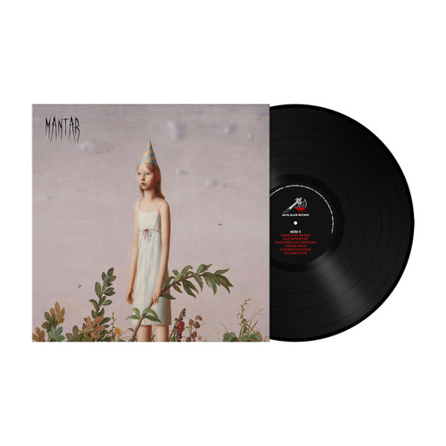 Bjork 'Post' LP Black Vinyl